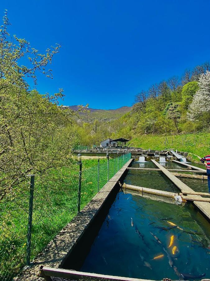 Cottage Modrich Struga Exterior photo